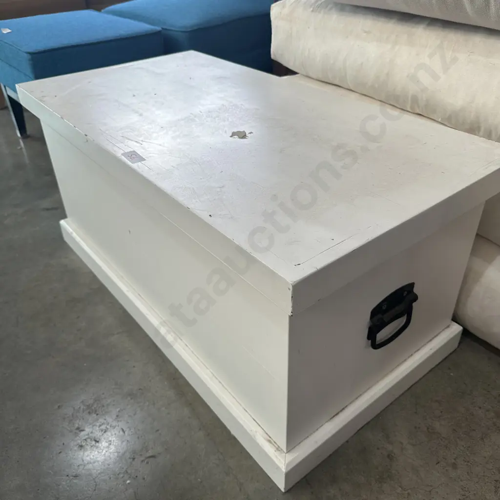 Painted blanket box Image 1++