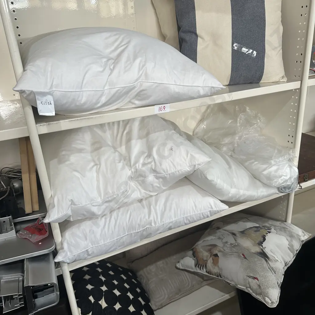 cushions , some feather Image 1++