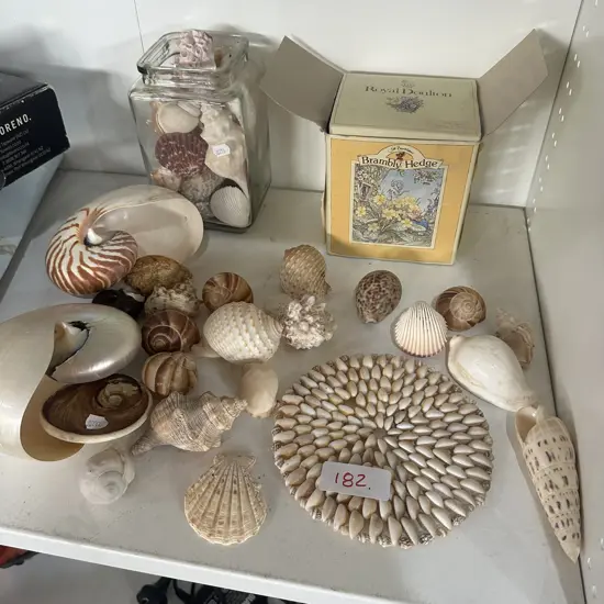 shell collection