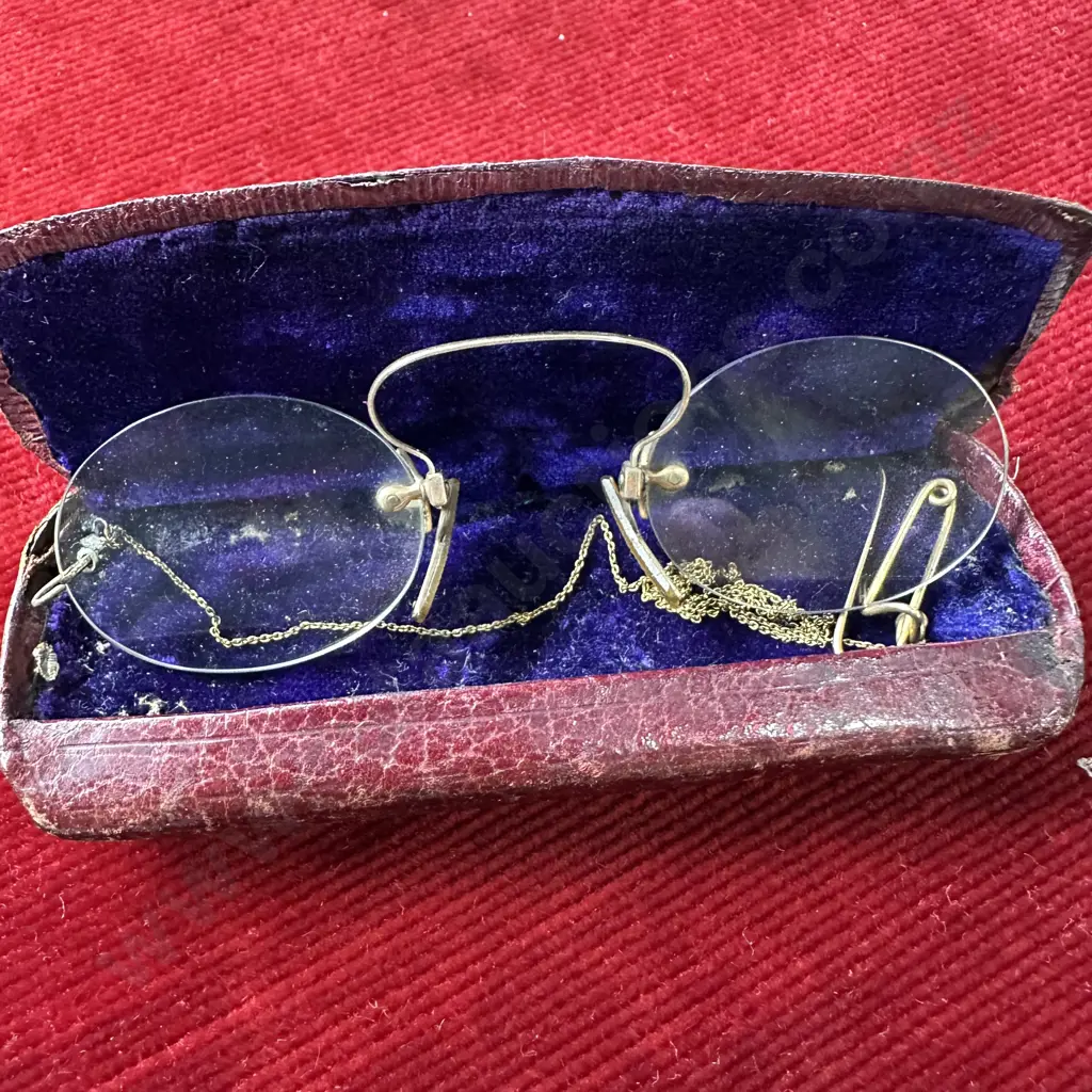 Cased specs with gold Image 1++
