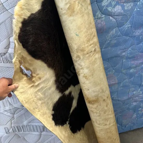 cow hide rug (hard to roll out, rather stiff)
