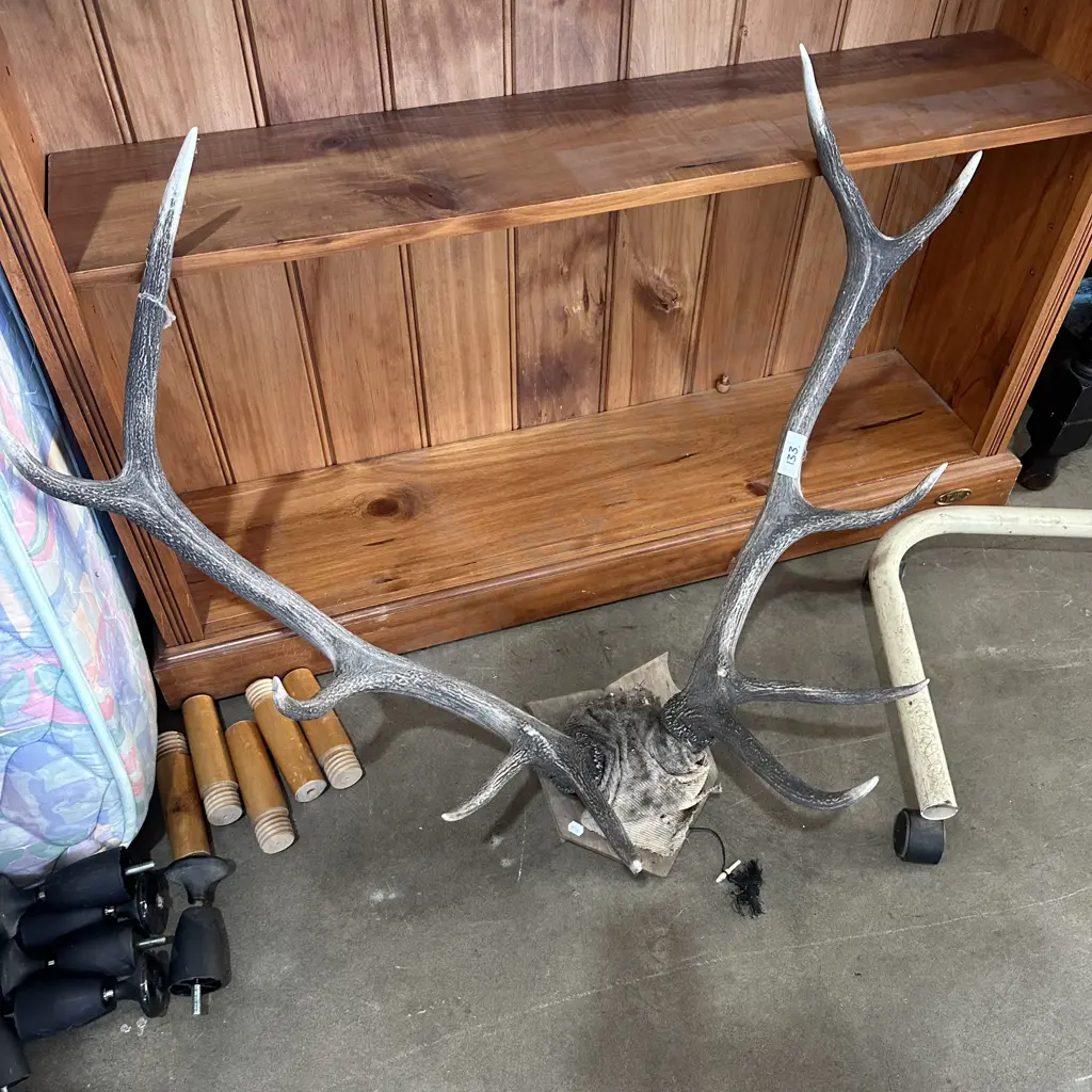 10 pointer Image 1++