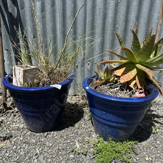 Pr Blue planters and contents