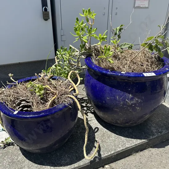 2 large Blue planters