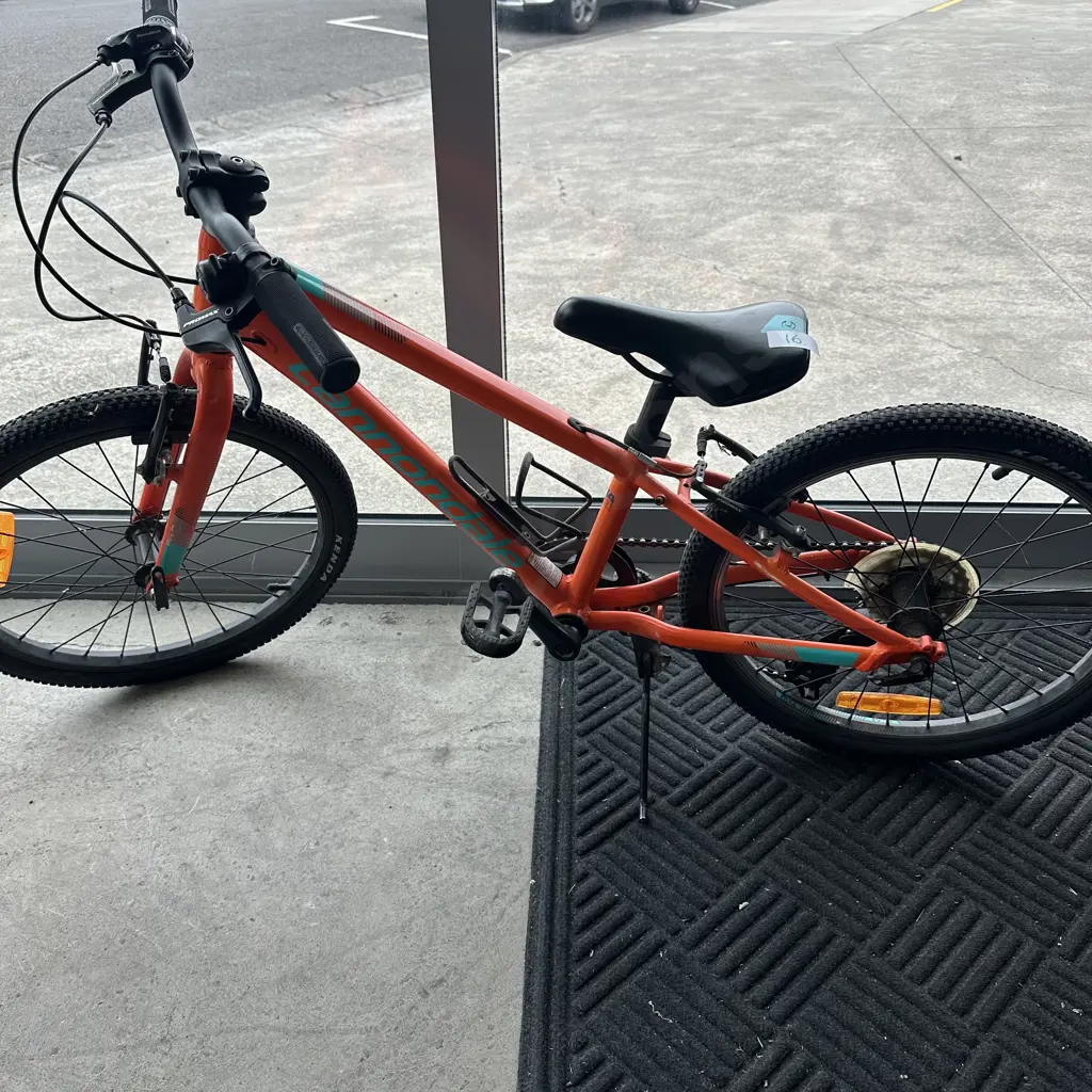 Cannondale kids bike Image 1++