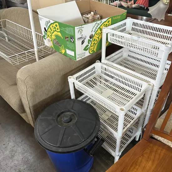 shell collection, box lot, pastic stand, lidded bin etc