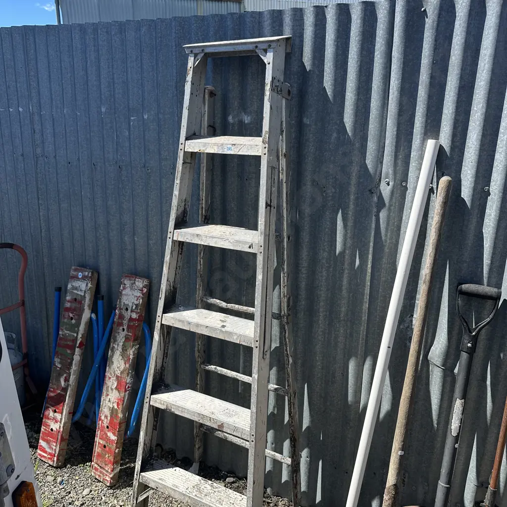 6 foot ladder Image 1++