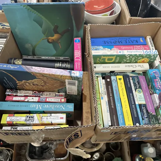 Two boxes of books