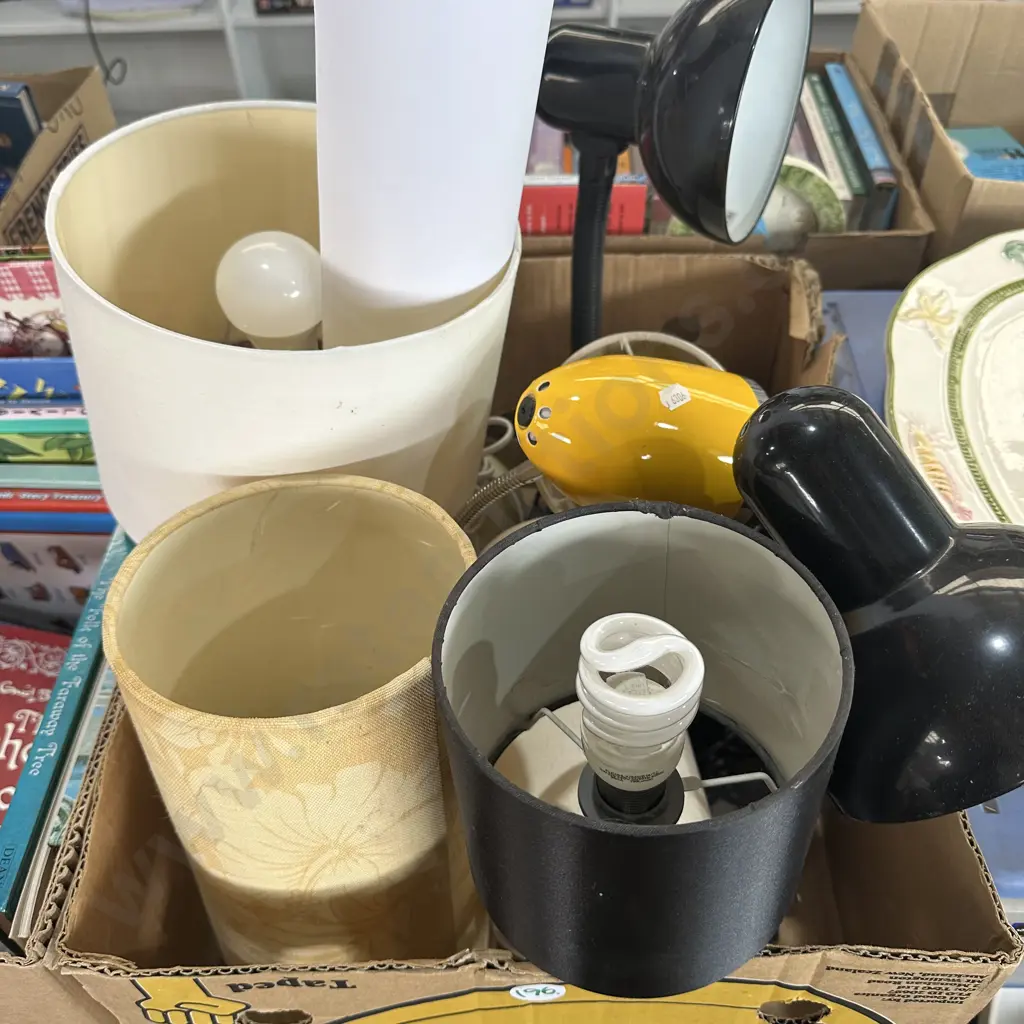 Box of lamps and shades plus Elton John Lithograph and certificate. Image 1++