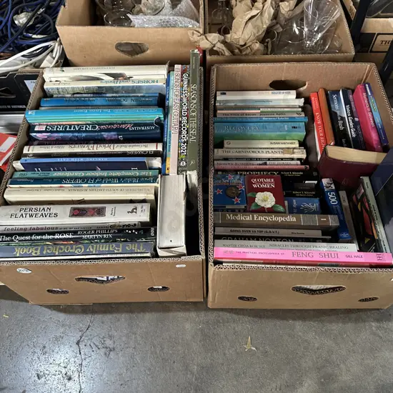 Two boxes of books, butane gas canisters and oil, chain etc.
