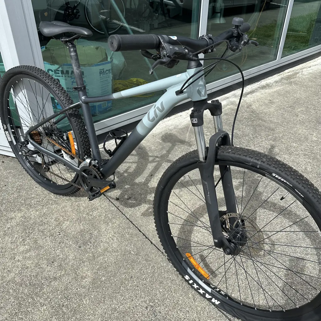 Liv Tempt hardtail mountain bike size M excellent condition Image 1++
