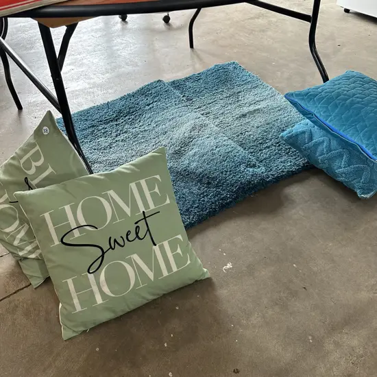 Pr mats and 4 cushions plus dinning chair