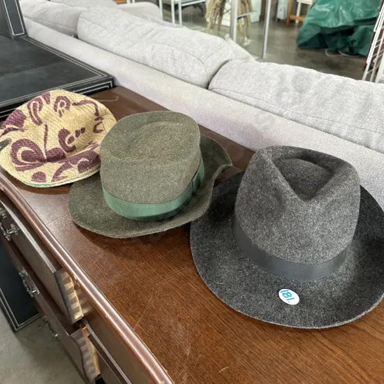 Two felt hats plus other hat.