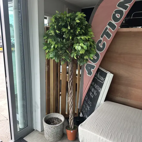 decorative inside tree