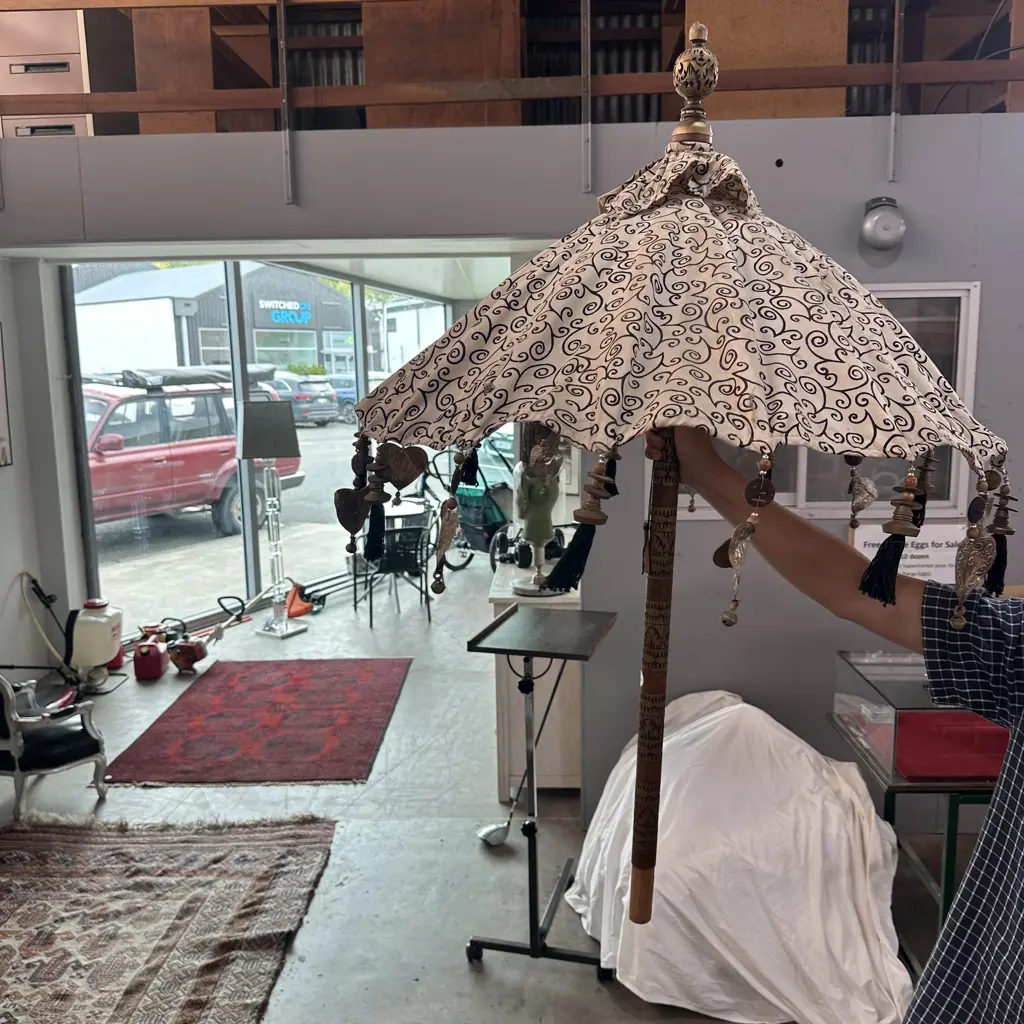 decorative Bluemoon umbrella Image 1++