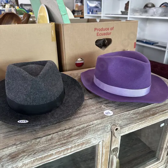 2 new felt hats